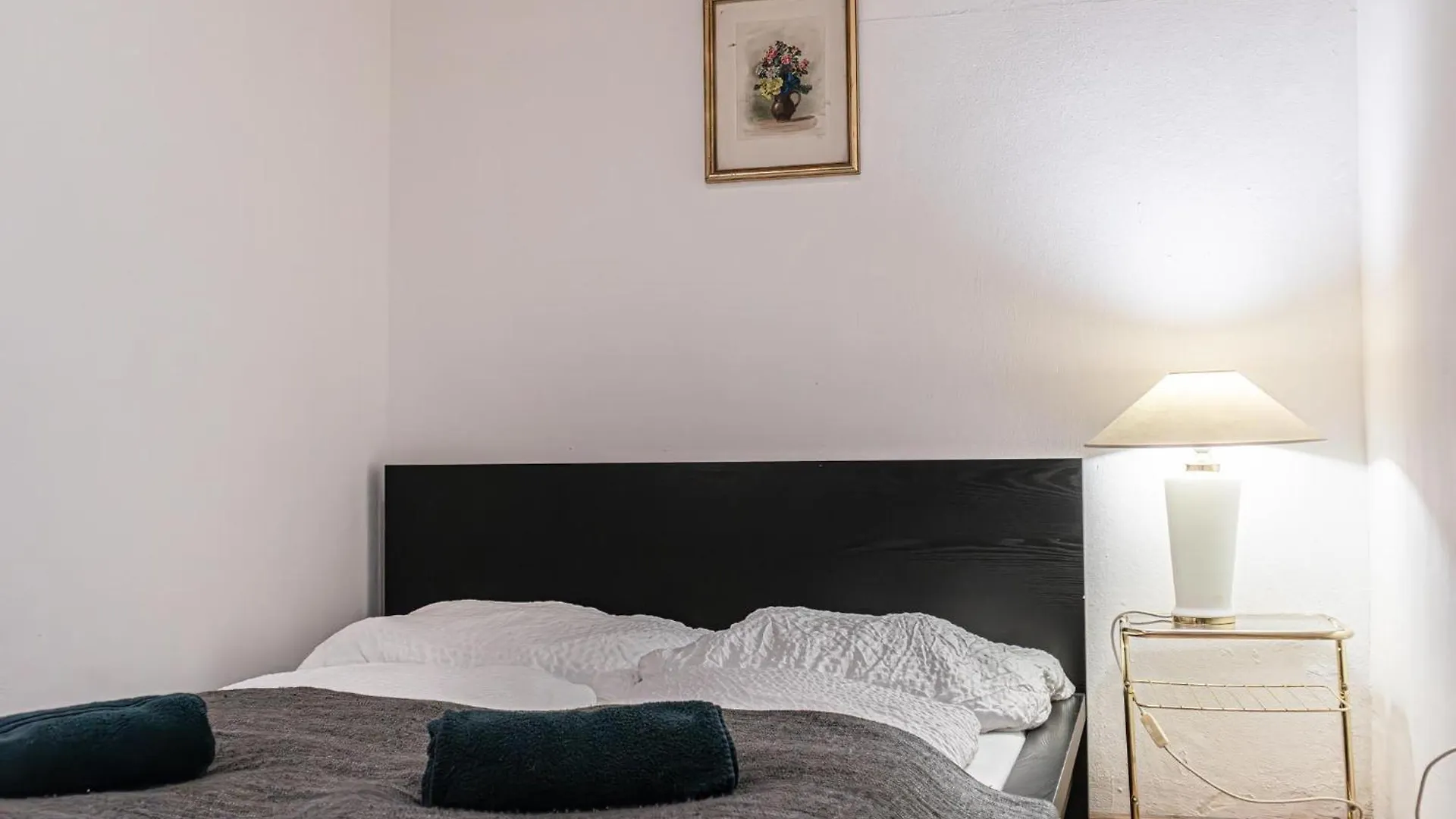 Budget Apartments Well Connected To The Whole City Vienna