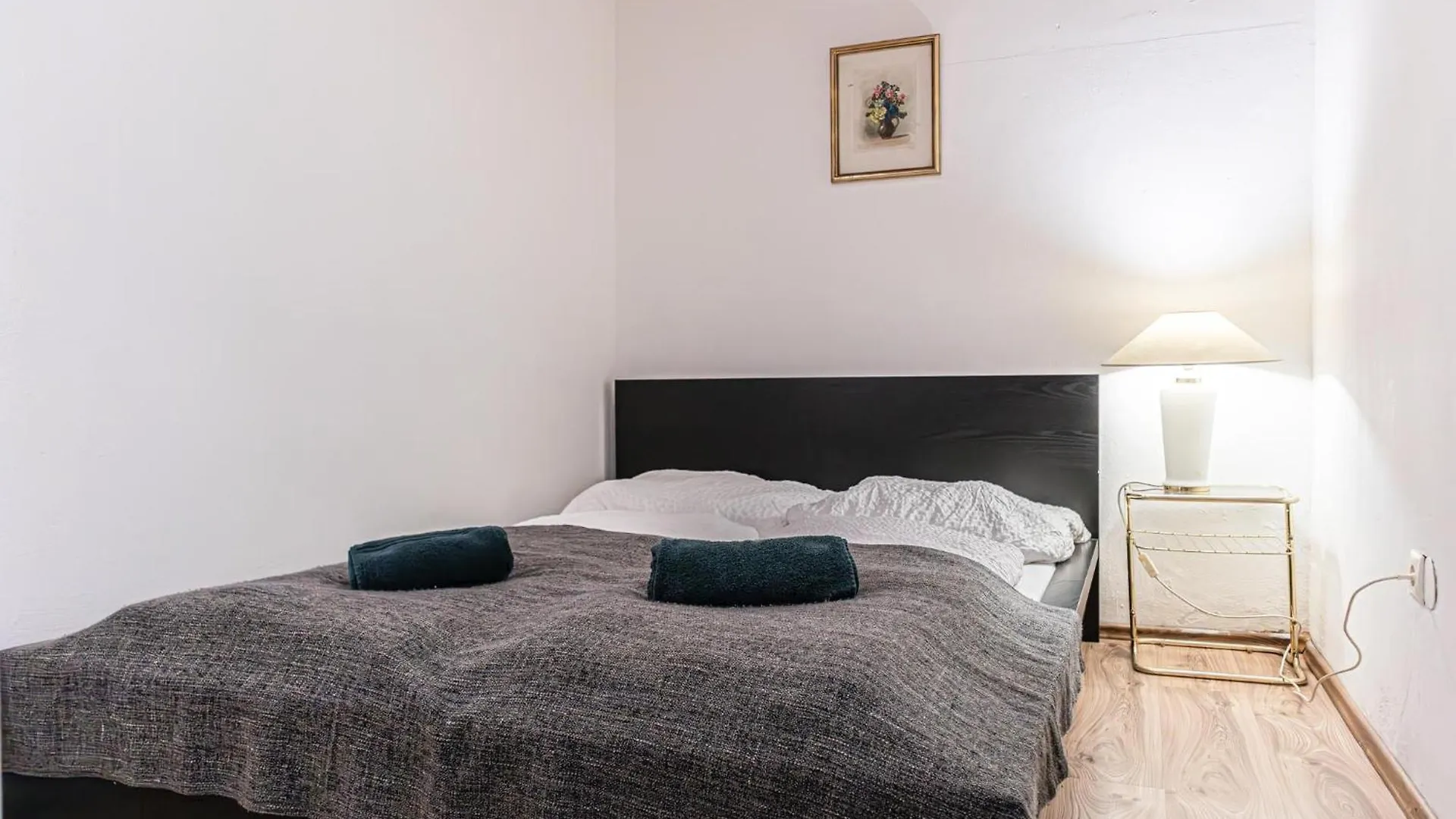 Budget Apartments Well Connected To The Whole City Vídeň